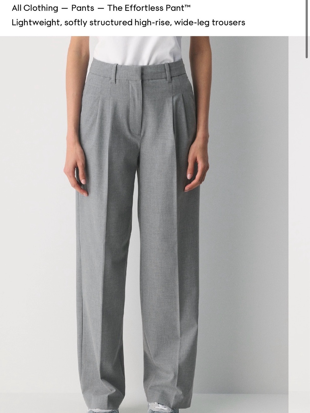 The Effortless Pant™ — Aritzia High-Rise Wide-Leg Trousers in Gray